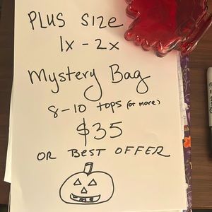 Plus size. Mix of short sleeved tops minimum of 8..